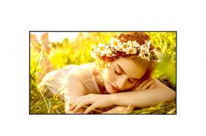 DISPLAY LCD 75 in. 4K/75UL5Q-M LG