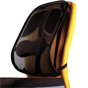 CHAIR MESH BACK SUPPORT/PROFESSIONAL 8029901 FELLOWES CHAIR MESH BACK SUPPORT/PROFESSIONAL 8029901 FELLOWES